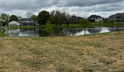 land clearing brush remove liberty township oh