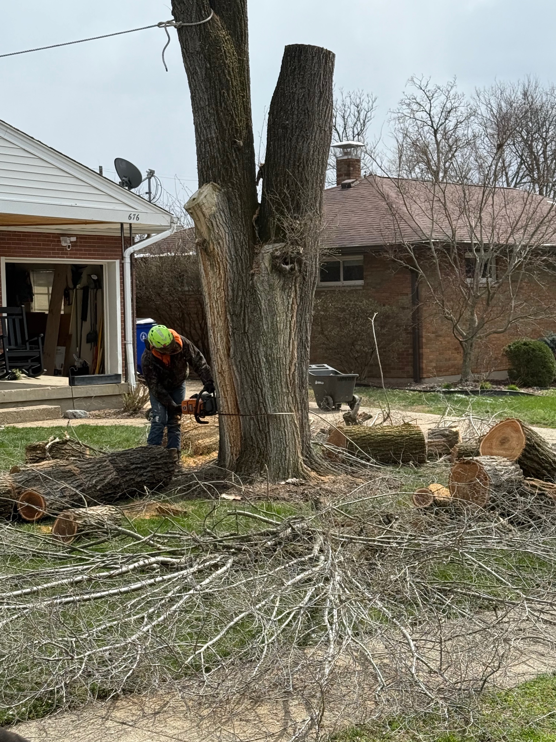 tree services liberty township, oh